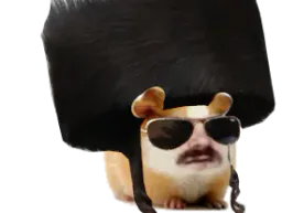 :hamster_juif: