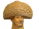 :jesus_mycose: