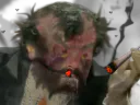 :came: