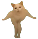 :bienfaitpourtoi: