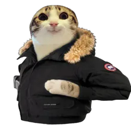 :chat_marrant_goose: