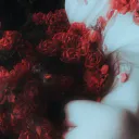 Inamorata