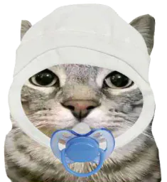 :CS_tutu: