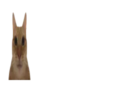 :chatmalcadre3: