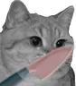 :Chassassin:
