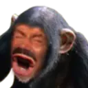 LeRisiSinge0