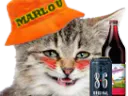 :cat_silly_marlou: