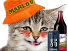 :cat_silly_marlou: