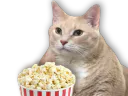 :povcon5: