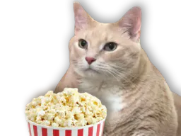 :povcon5: