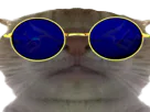 :chaklunettes: