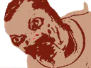 :nrvgif: