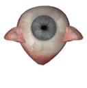 :oeil: