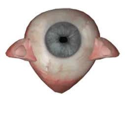 :oeil: