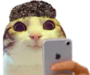 :chat_marrant_brozer: