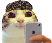 :chat_marrant_brozer: