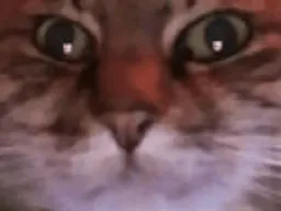 :ChatZoomVagues: