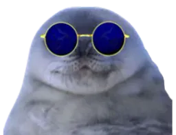 :Phoque_Notreadyent: