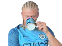 :Haaland: