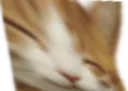 :Chat_large: