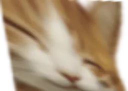 :Chat_large: