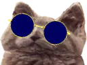 :catlunette3: