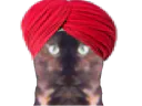 :indien: