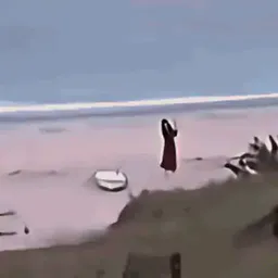 :courir_survivre: