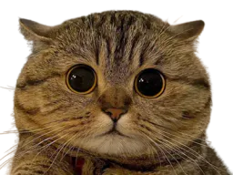 :Chat27: