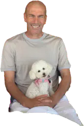 :Zidane_chien: