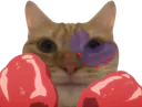:chat_boxe: