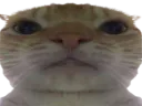 :Chak: