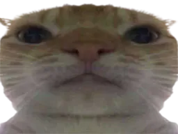 :Chak: