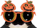 :chat_lunette_halloween: