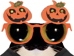 :chat_lunette_halloween: