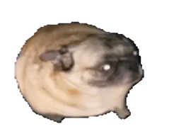 :chiendanse: