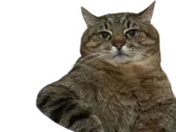:chat_wesh: