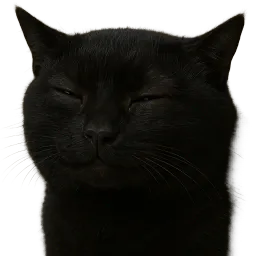 :chat_douteux: