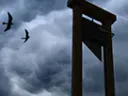 :Guillotine_: