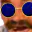 Photo de profil de Socks