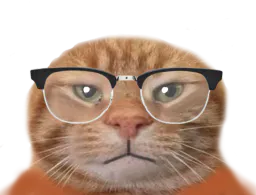 :chatlunettes3: