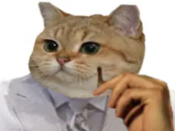 :chat_costard: