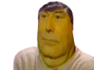 :Risitas_circonspect:
