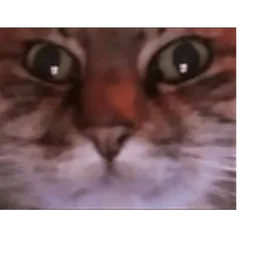 :wrex_gif: