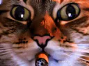 :ChatZoomFume: