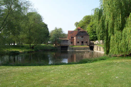 Image