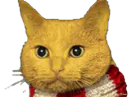 :Chat-triss43: