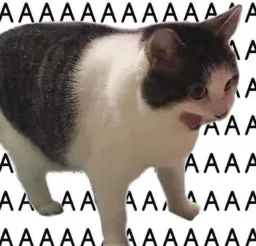 :AAAAAAAAAA: