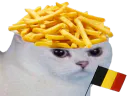 :chat_belge: