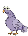 :Volutes_pigeon_: